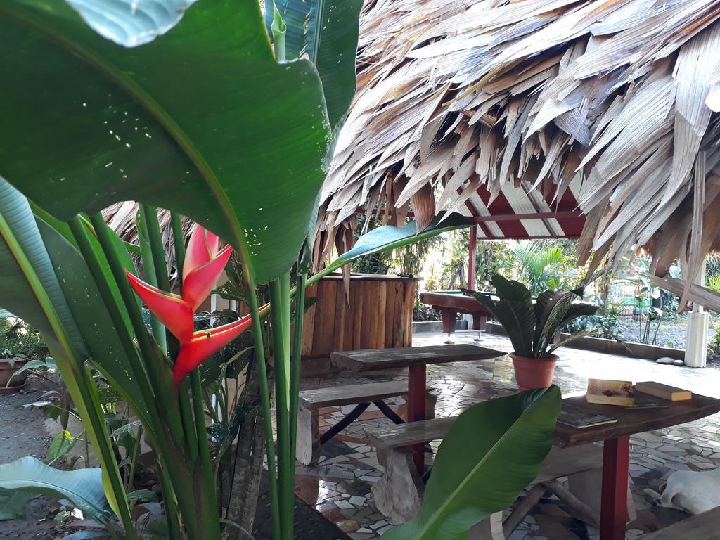Talamanca Cabins Cahuita Luaran gambar
